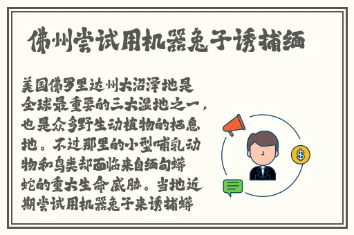 香蕉丝瓜茄子草莓秋葵黄
